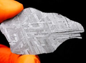 NWA 8442 (27.22 gram)