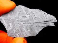 NWA 8442 (27.22 gram)