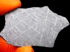 NWA 8442 (44.20 gram)