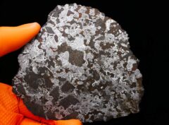 MASLYANINO (149.78 gram)