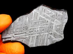 NWA 8442 (29.90 gram)