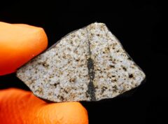 HAMMADAH AL HAMRA 346 (10.13 gram)