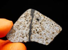 HAMMADAH AL HAMRA 346 (8.97 gram)