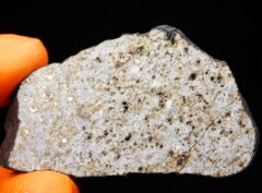 HAMMADAH AL HAMRA 346 (18.39 gram)