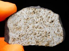 HAMMADAH AL HAMRA 346 (13.47 gram)