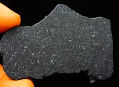 NWA 15811 (12.82 gram)