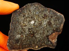 NWA 15810 (41.84 gram)