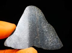NWA 15794 (13.38 gram)