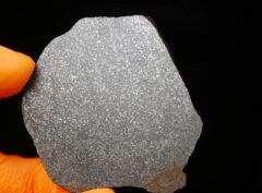 NWA 15878 (24.25 gram)