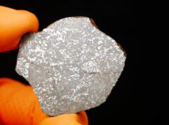 NWA 15878 (11.52 gram)