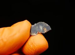 NWA 15876 (0.43 gram)