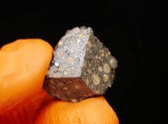 NWA 15897 (5.60 gram)
