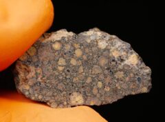 NWA 15897 (3.79 gram)