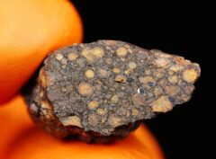 NWA 15897 (2.98 gram)