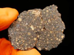 NWA 15897 (11.64 gram)