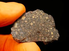 NWA 15897 (7.35 gram)