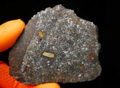 NWA 15718 (33.55 gram)