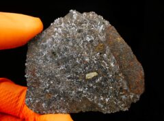 NWA 15718 (31.89 gram)