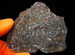 NWA 15718 (32.68 gram)