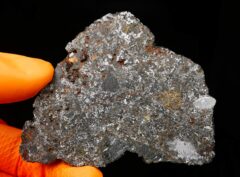 NWA 15718 (37.59 gram)
