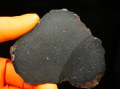 TASSÉDET 004 (46.58 gram)
