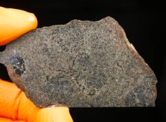 NWA 15893 (27.59 gram)