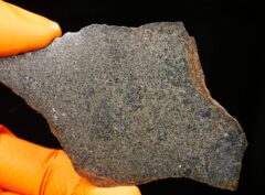 NWA 15893 (30.50 gram)