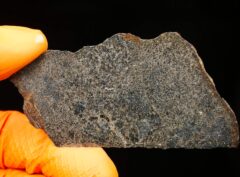 NWA 15893 (19.12 gram)