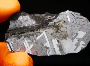 HICKMAN (25.97 gram) endpiece