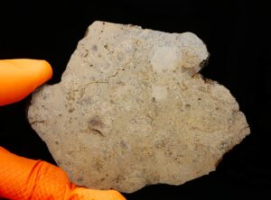 JIKHARRA 001 (81 gram)