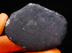 EL MENIA (185.73 gram)
