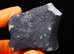 EL MENIA (198.50 gram)