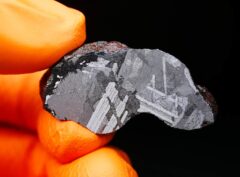 MUNDRABILLA (29.8 gram)