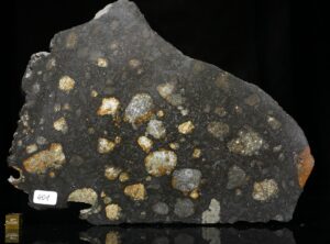 NWA 12520 (401 gram)