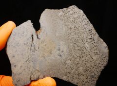 JIKHARRA 001 (77 gram) BUBBLES