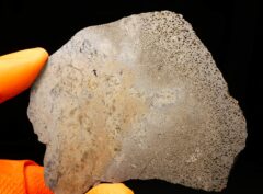 JIKHARRA 001 (77.1 gram) BUBBLES