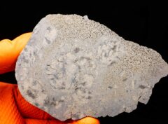JIKHARRA 001 (211 gram) ENDPIECE BUBBLES
