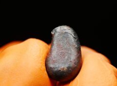 NWA 859 “TAZA” (2.08 gram) ORIENTED