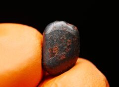 NWA 859 “TAZA” (1.649 gram) ORIENTED