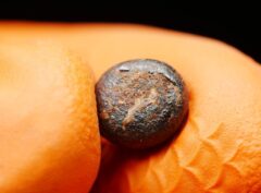 NWA 859 “TAZA” (1.379 gram) ORIENTED