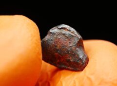 NWA 859 “TAZA” (0.969 gram) ORIENTED