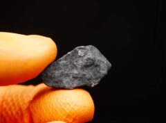 EL MENIA (4.94 gram) ORIENTED