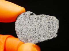 EL MENIA (24.60 gram) ENDPIECE
