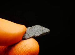 NWA 7317 (0.84 gram)