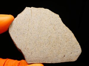 NWA 16056 (18.89 gram)