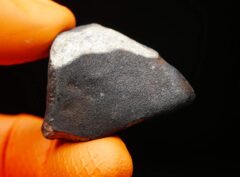 BOUTEL FIL (32.96 gram)
