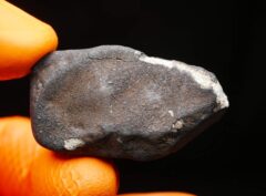 BOUTEL FIL (30.87 gram) ORIENTED