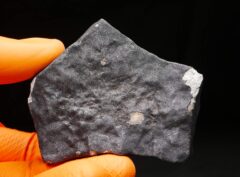 BOUTEL FIL (314.10 gram) ORIENTED