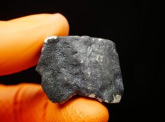 BOUTAL-FIL (22.50 gram) ORIENTED