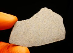 NWA 16056 (10.62 gram)